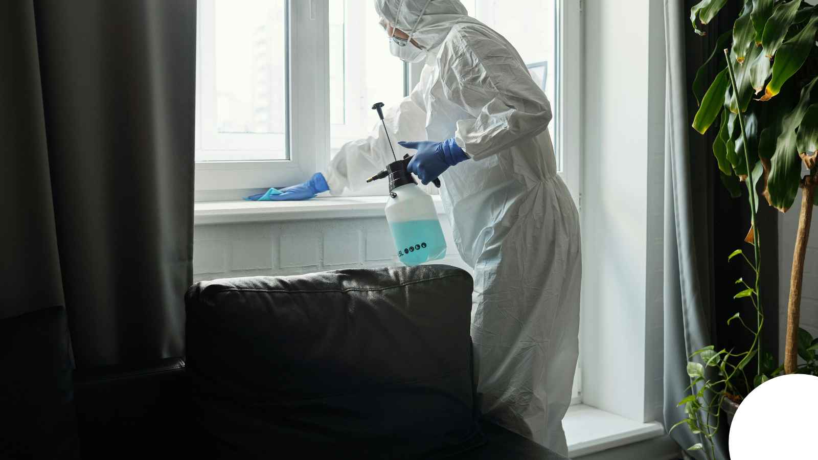 Biohazard Cleanup in Bowling Green, KY — Distressed Property Cleanup Bowling Green