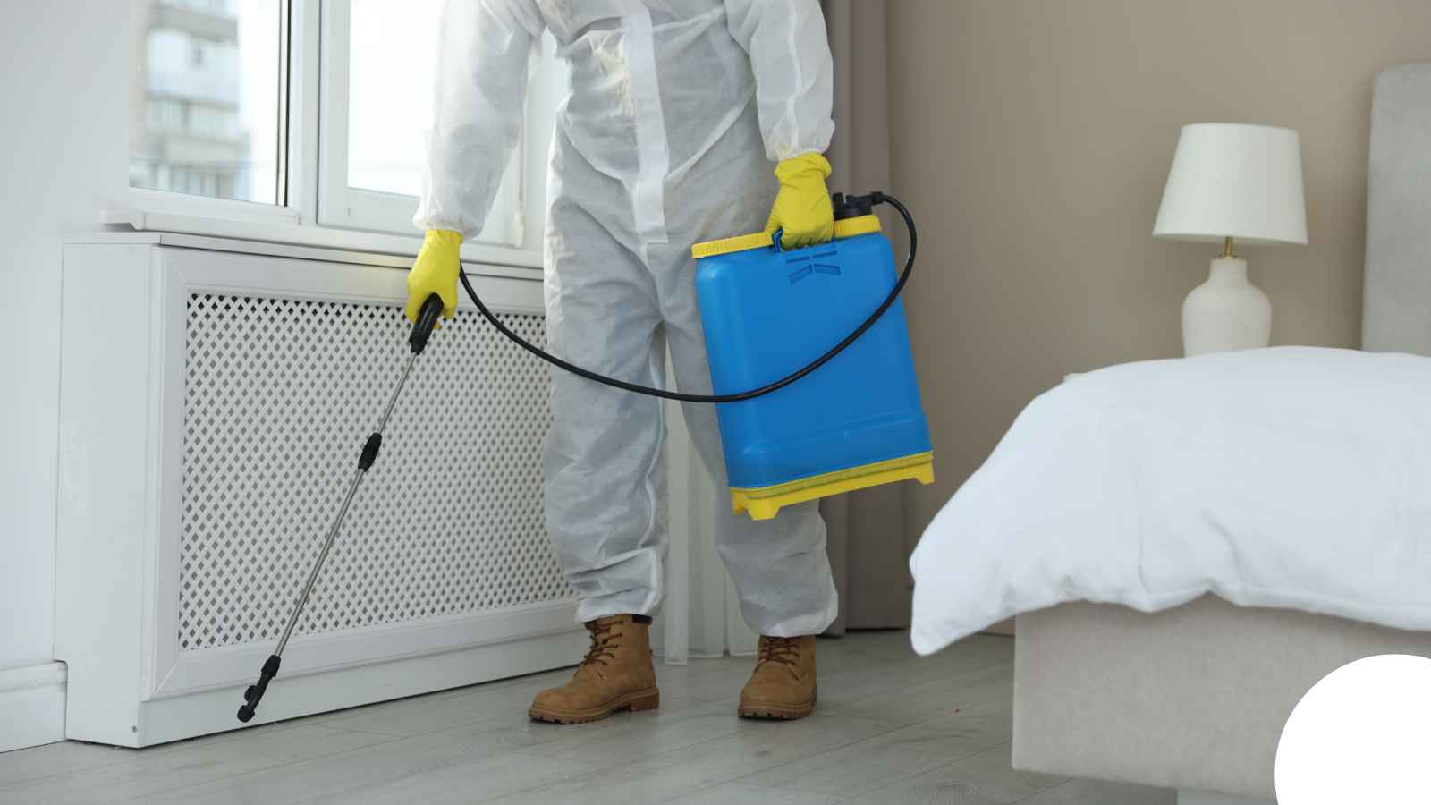 Biohazard Cleanup in Bowling Green, KY — Distressed Property Cleanup Bowling Green Biohazard Cleanup in Bowling Green, KY — Distressed Property Cleanup Bowling Green
